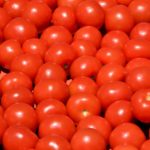 tomatoes-1241014_1920